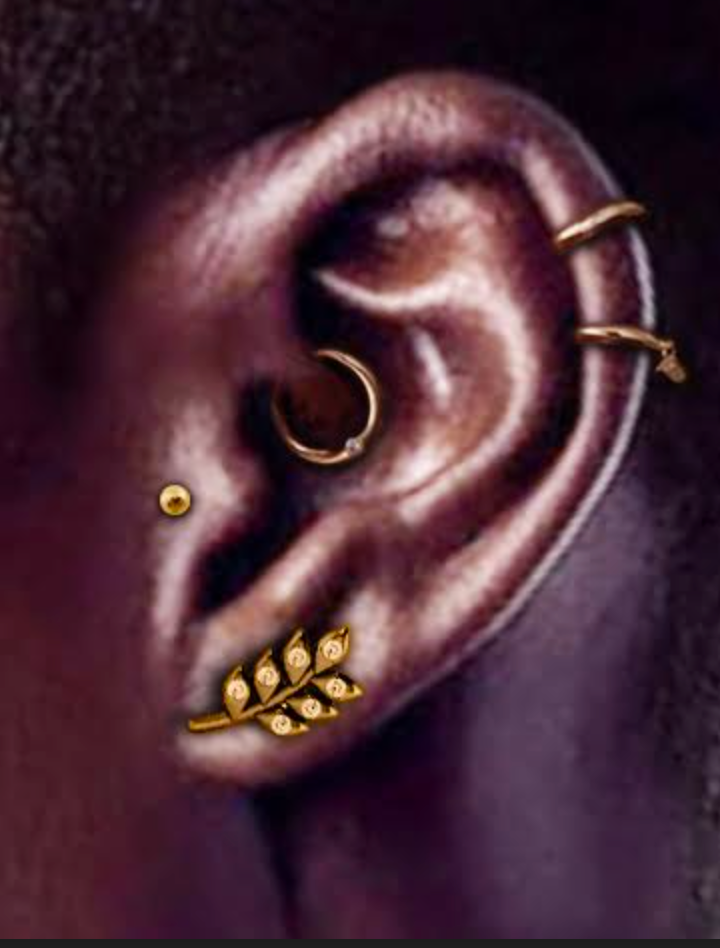 Wheat Sheaf Charm Huggie Clicker Hoop Earrings
